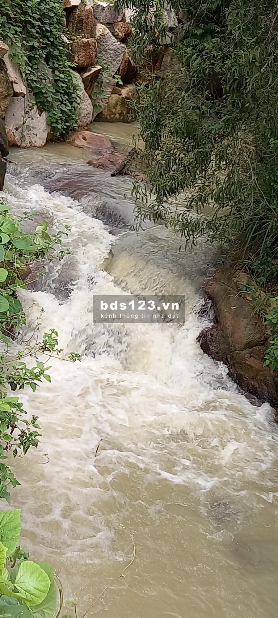 Bán nhanh lô đất 519m2 sát bên khu du lịch Núi Dinh, view Núi, suối và hồ nước ngọc bích