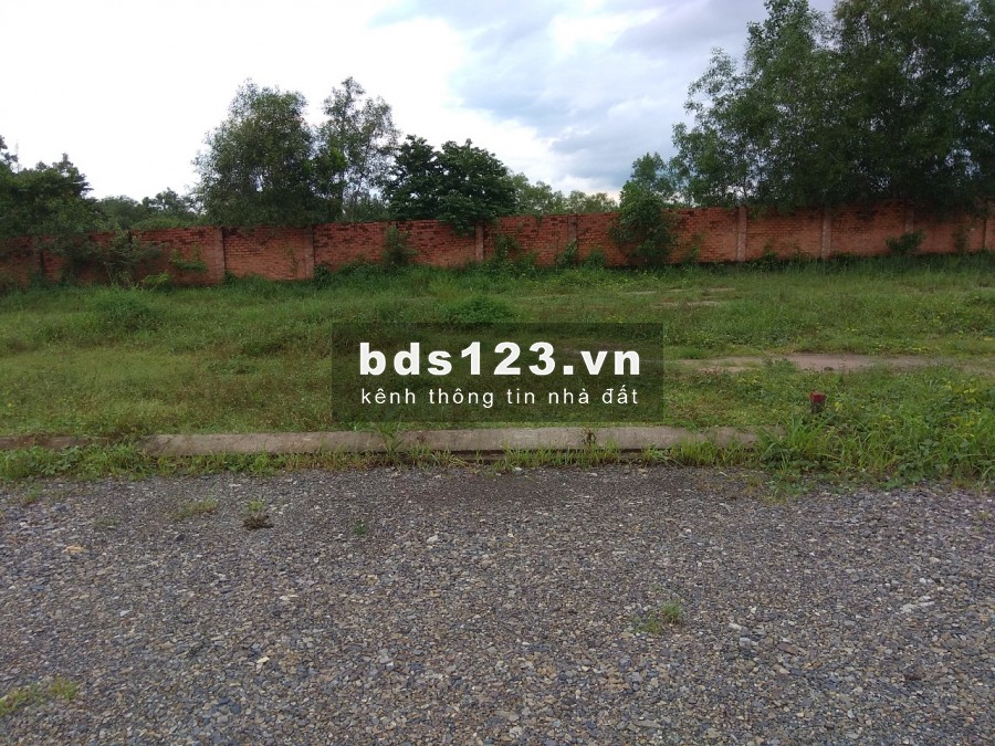 Bán nhanh lô đất 519m2 sát bên khu du lịch Núi Dinh, view Núi, suối và hồ nước ngọc bích