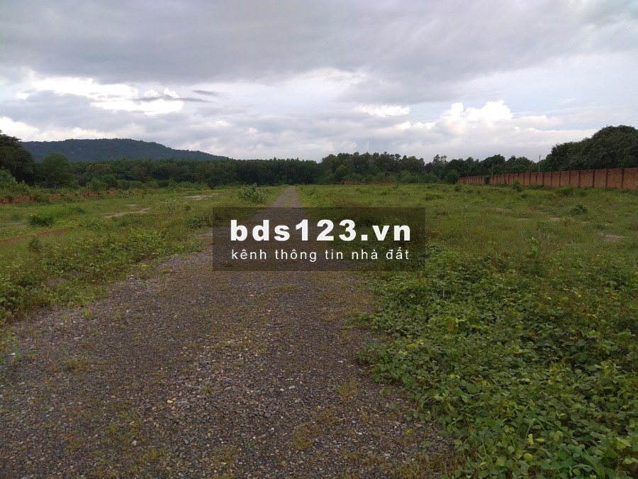 Bán nhanh lô đất 519m2 sát bên khu du lịch Núi Dinh, view Núi, suối và hồ nước ngọc bích
