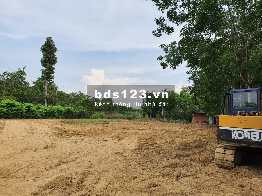 Tết cận kề kẹt tiền bán gấp đất thổ cư gần chợ Lộc Hưng, Lộc Ninh Bình Phước