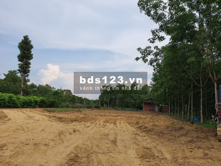 Tết cận kề kẹt tiền bán gấp đất thổ cư gần chợ Lộc Hưng, Lộc Ninh Bình Phước