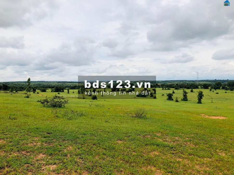 Cần bán đất giá rẻ tại Thị trấn Lương Sơn, huyện Bắc Bình, tỉnh Bình Thuận