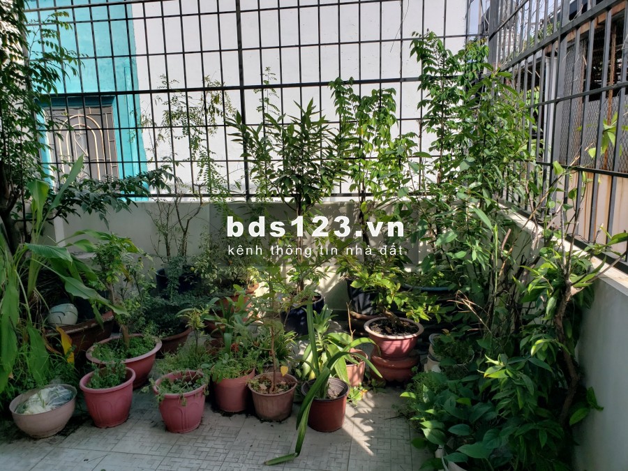 Bán nhà 4x16m, Mặt tiền đường nội bộ Phường 5, Quận 8