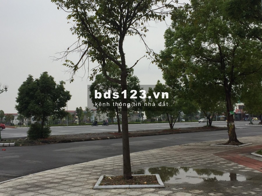 Bán đất gần quốc lộ 38 Thuận Thành BN