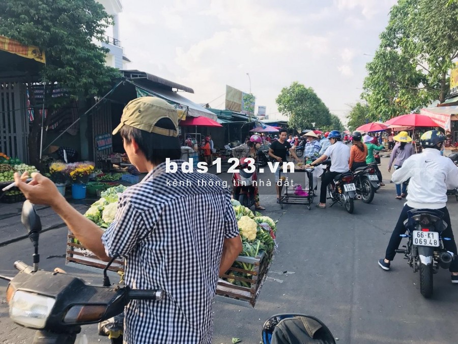 Gia đình tôi cần bán gấp 2 dãy trọ. Ngay khu công nghiệp Mỹ Phước - Bình Dương