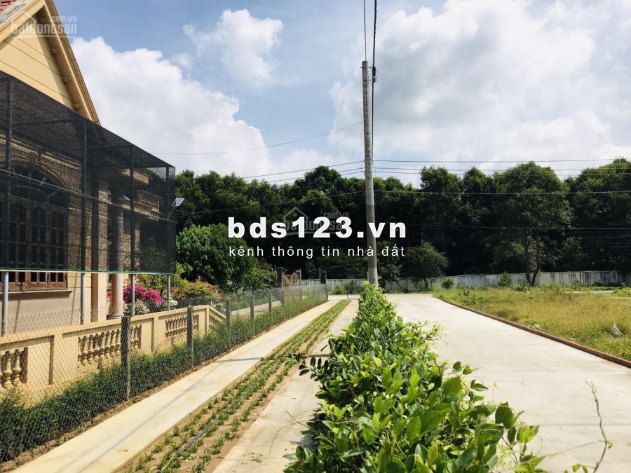 3 Tỷ đầu tư đất ven biển Hồ Tràm sinh lời x2 x3 hiện hữu