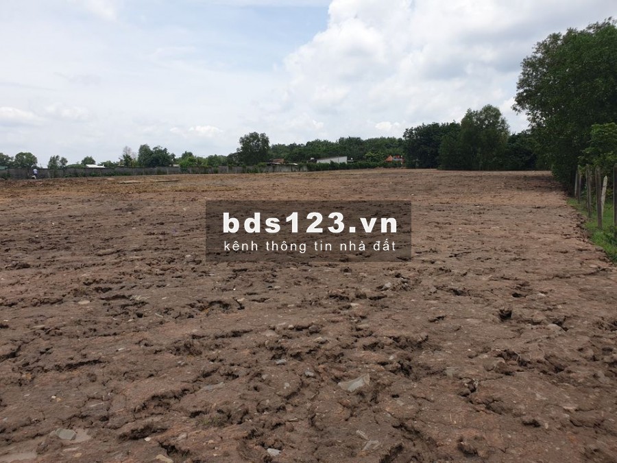 BÁN ĐẤT CỦ CHI, 10.000m2, quy hoạch khu dân cư, có thể phân lô bán nền. Call 0903 58 25 58.