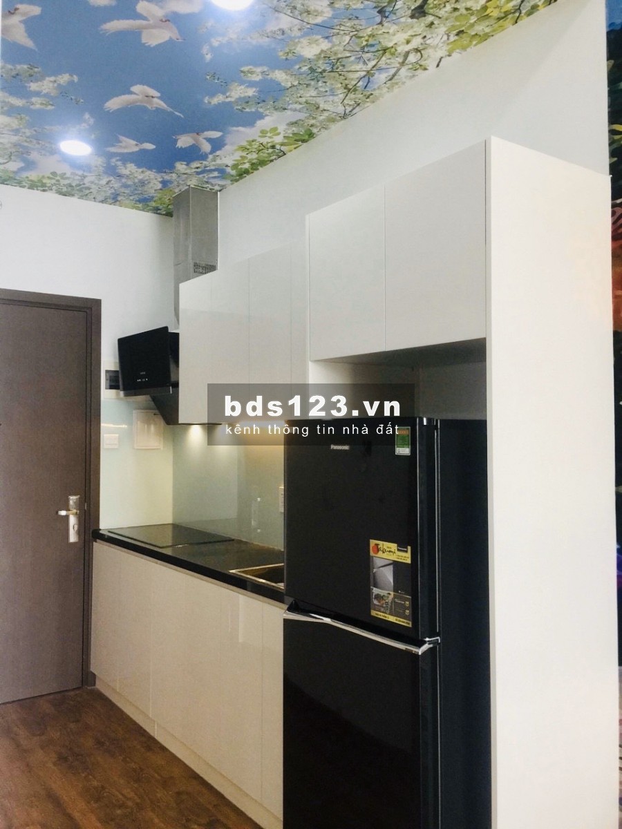 Chính chủ cho thuê căn OT The Sun Avenue, 35m2 - Full nội thất để ở và làm việc - Giá 8tr bao phí