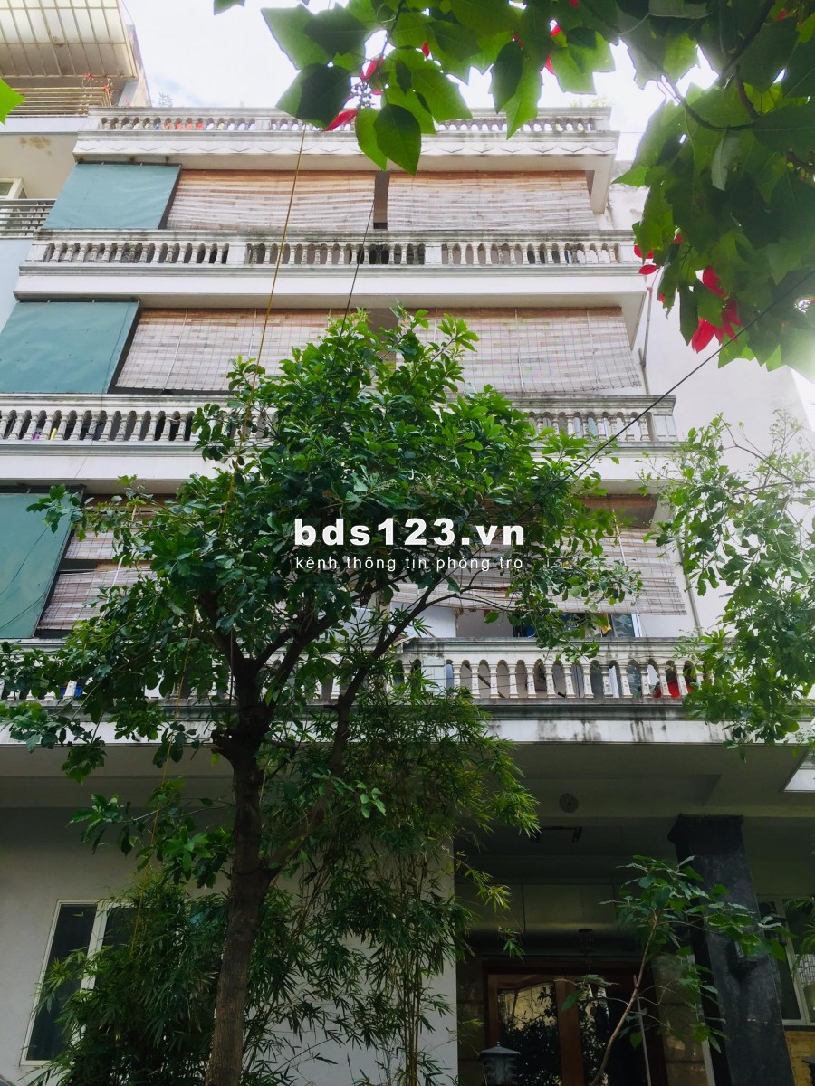 CHO THUÊ PHÒNG CHUNG CƯ MINI - KHU VƯỜN NHỎ GIỮA LÒNG HÀ NỘI
