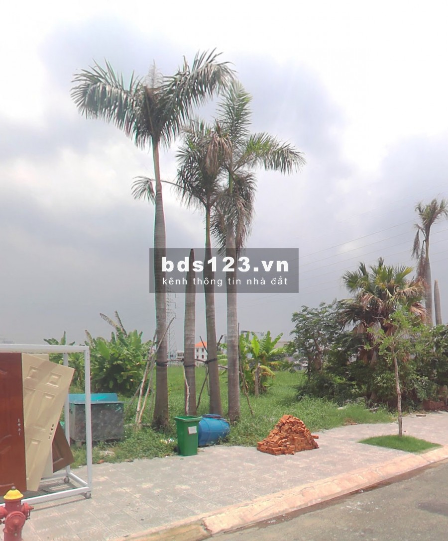Bán đất MT đường Đặng Thuỳ Trâm, Bình Thạnh. SHR sang tên ngay, DT 90m2 giá chỉ 2.3tỷ / nền