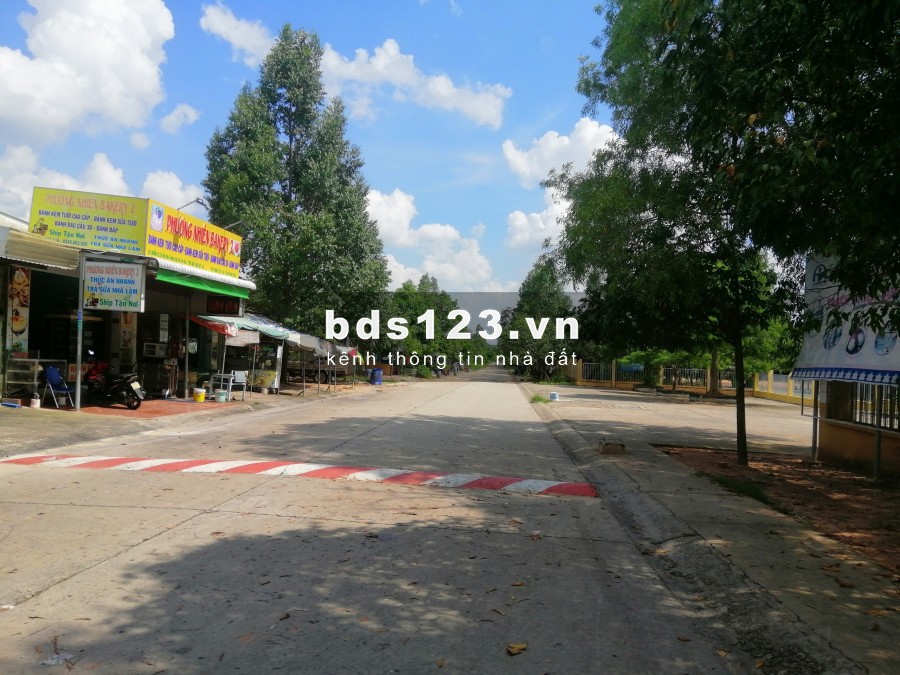 Bán gấp 300m2 đất nền có thêm dãy trọ, dân cư đông tại Bình Dương, SHR thổ cư 100% giá rẻ đối diện BV, sát chợ dân sinh đông đúc