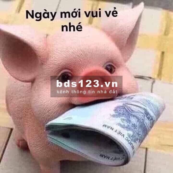 Bán đất mặt tiền đẹp Thị Trấn Hồ Thuận Thành Bắc Ninh