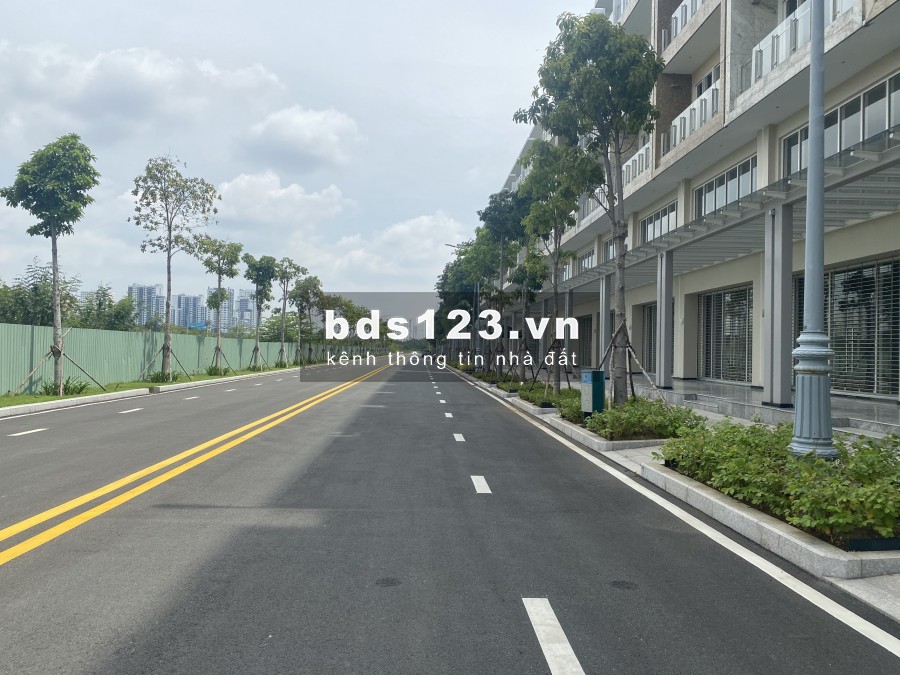 Sarina cần cho thuê nhanh shophouse thô giá thị trường