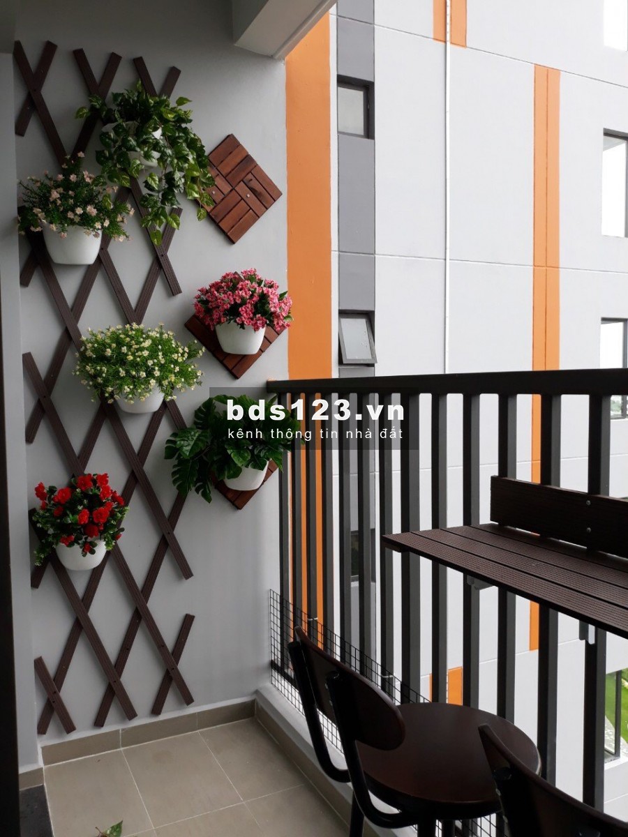 Giá thuê sốc từ Safira 1pn-5.4 full 6.5tr , 2PN -5.4tr NTCB-5.7tr Full 7tr LH 0902305909