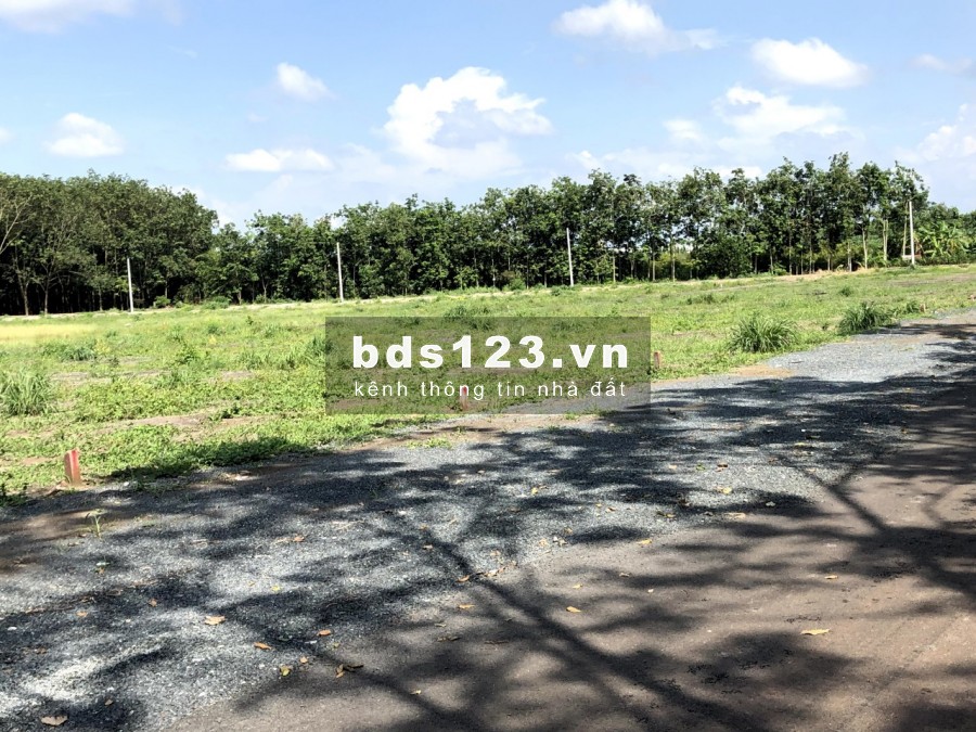 Kinh doanh không nổi phải bán lỗ miếng đất 2000m2 giá 580tr , shr