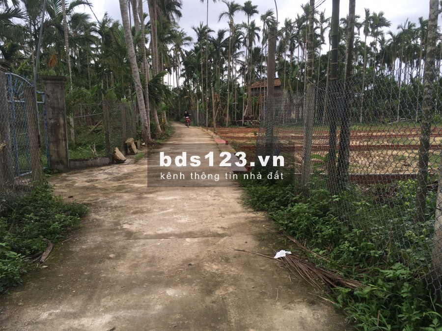 ĐẤT TỊNH HÀ CHỈ HƠN 400TR. GẦN ĐƯỜNG DẪN THẠCH BÍCH. LH 0934 192 309