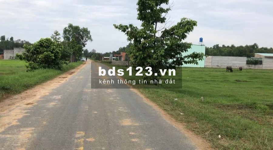 Bán gấp đất đường đá xanh giáp Cầu Lớn Hóc Môn. 175m2 (5x35m)