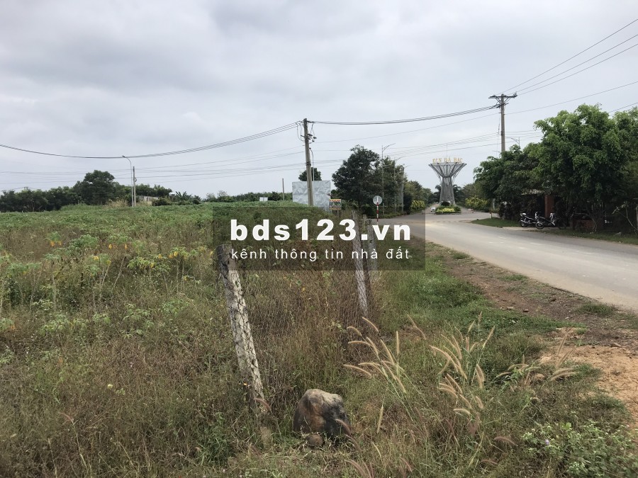 chủ cần bán 1ha đất đối diện khu công nghiệp tại huyện châu đức chỉ 1,85 triệu/m2