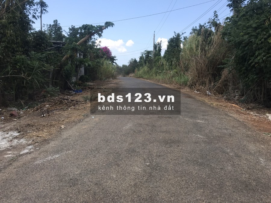 cần bán 9000m2 đất tại Huyện Châu Đức ngay khu dân cư. Chỉ 850 triệu/ sào