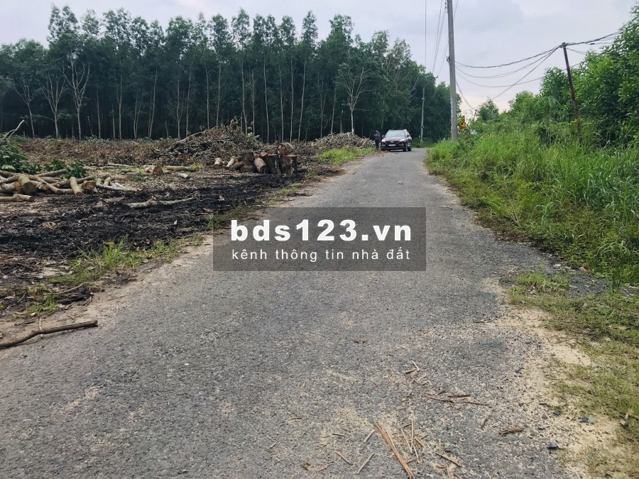 cần bán 9000m2 đất tại Huyện Châu Đức ngay khu dân cư. Chỉ 850 triệu/ sào