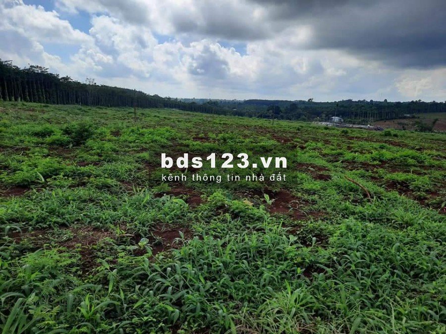 8,8ha huyện châu đức, xã Quảng thành. Nước suối quanh năm trong đất. Chỉ 284 triệu/1000m2 LH: 0907016378