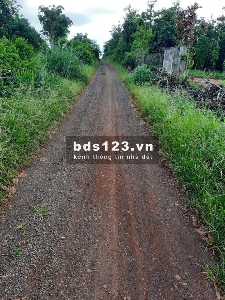 8,8ha huyện châu đức, xã Quảng thành. Nước suối quanh năm trong đất. Chỉ 284 triệu/1000m2 LH: 0907016378