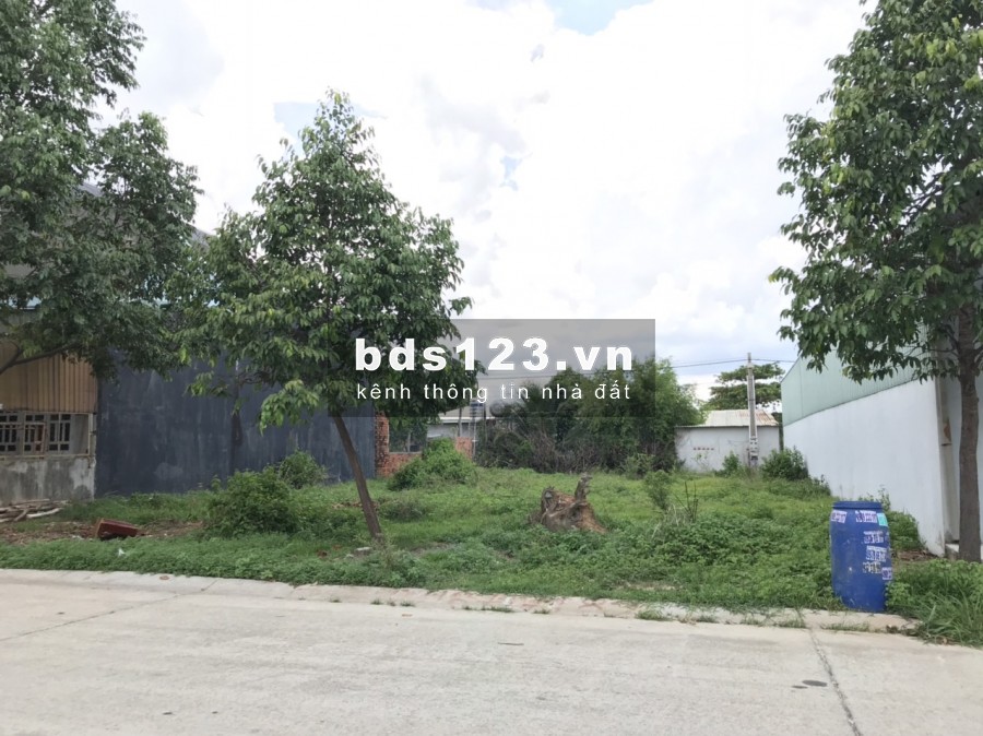 Đất chính chủ nhượng hết để về quê chăm sóc ba mẹ và làm ăn. Giá chỉ 850tr/100m2.
