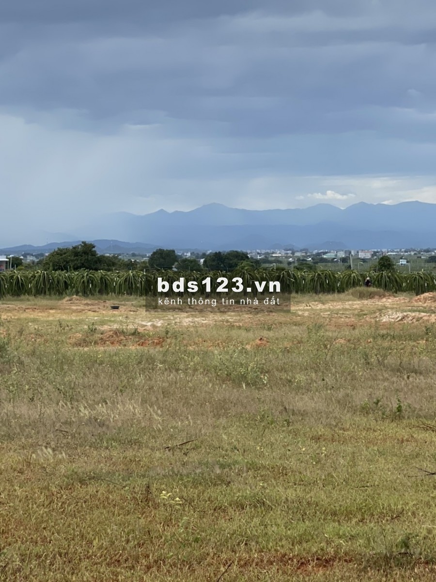 Bán 1,3ha đất nông nghiệp hồng thái cách đường liên xã 150m chỉ 95k/m2 Lh 0938677909 Hiền