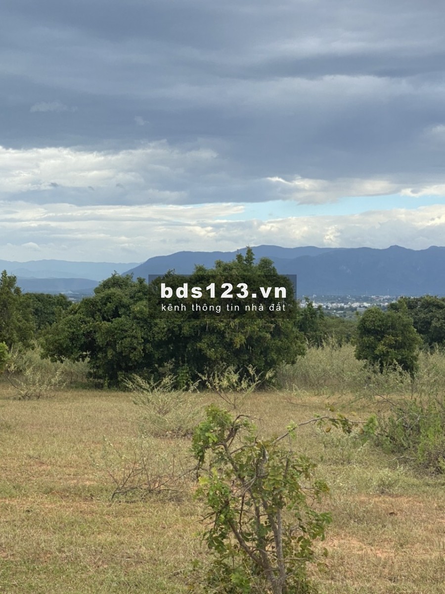 Bán 1,3ha đất nông nghiệp hồng thái cách đường liên xã 150m chỉ 95k/m2 Lh 0938677909 Hiền