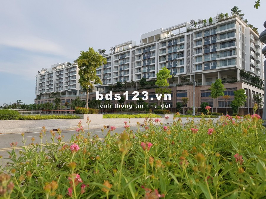 Văn phòng shophouse Sarina sala giá chỉ 51 triệu/tháng
