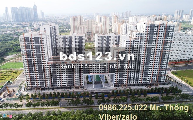 GIỎ HÀNG CĂN HỘ CHO THUÊ MỚI NHẤT VÀ CHÍNH XÁC NHẤT TẠI CHUNG CƯ NEW CITY THỦ THIÊM T12/2020