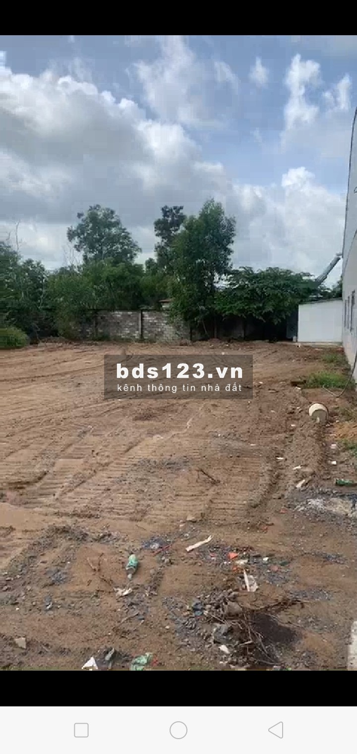 Cho thuê kho ở xã Mỹ Yên đường container 20 feet diện tích 2350m2 giá giá 45 triệu/tháng