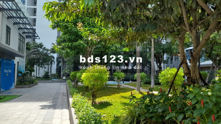 GIỎ HÀNG CĂN HỘ CHO THUÊ MỚI NHẤT VÀ CHÍNH XÁC NHẤT TẠI CHUNG CƯ NEW CITY THỦ THIÊM T12/2020