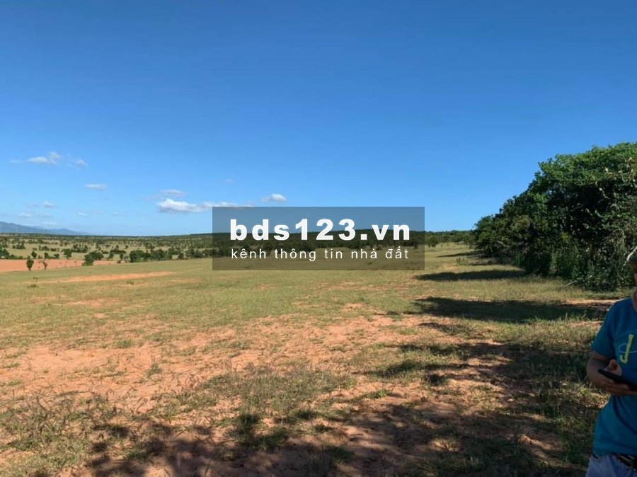 Bán 7500m2 đất nông nghiệp hoà thắng cách đường nhựa D9T716 và liên huyện 500m Lh 0938677909 Hiền xem sổ