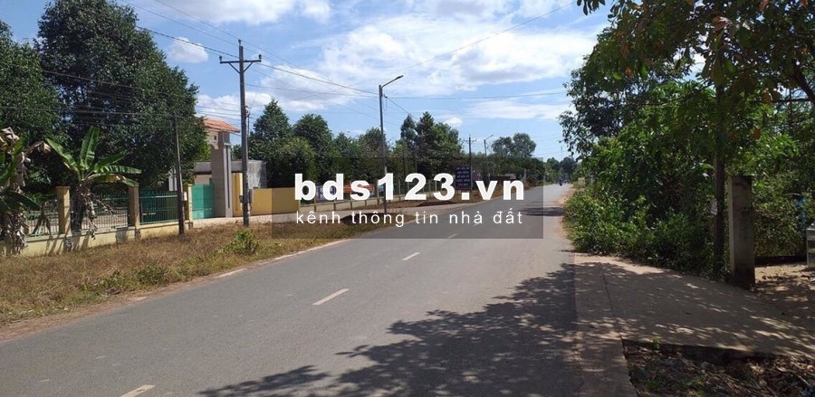 Cần Bán Khu Đất 1028m2, ngang 12m, dài 85m, Xã Tân Phước, Đồng Phú Bình Phước