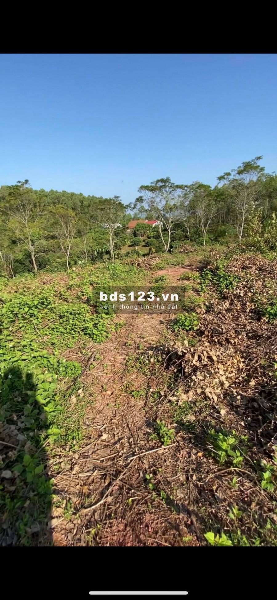 BÁN ĐẤT YÊN THẾ BẮC GIANG TIỀM NĂNG LỚN