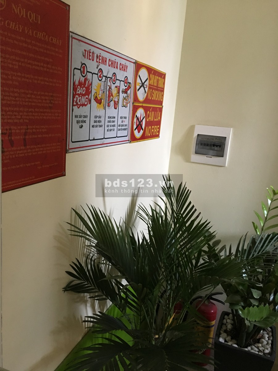 Căn hộ cho thuê Tòa nhà chung cư mini Hoàng Long House - Long Biên (Chính chủ)