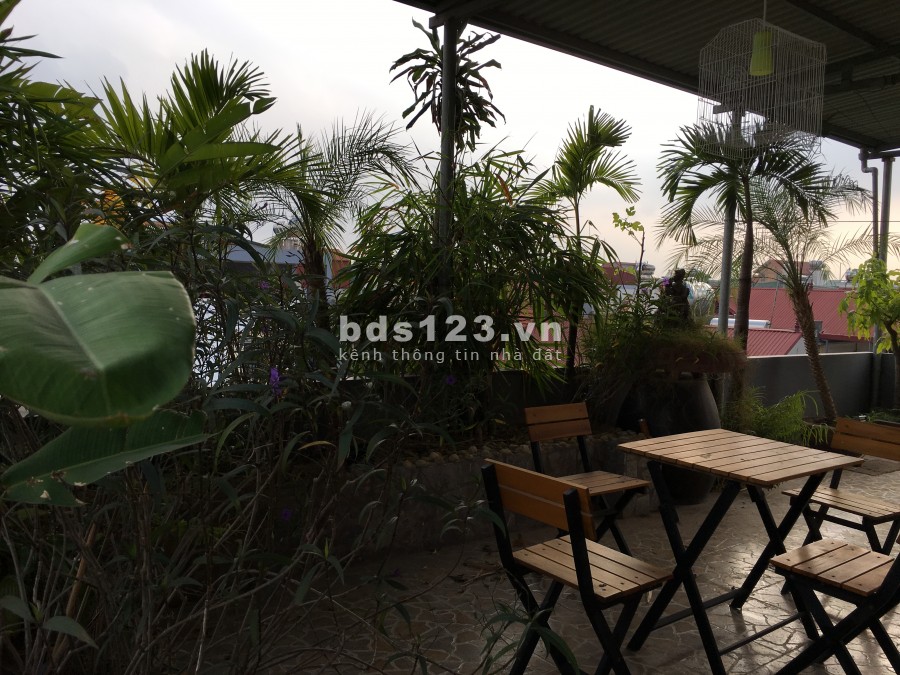 Căn hộ cho thuê Tòa nhà chung cư mini Hoàng Long House - Long Biên (Chính chủ)