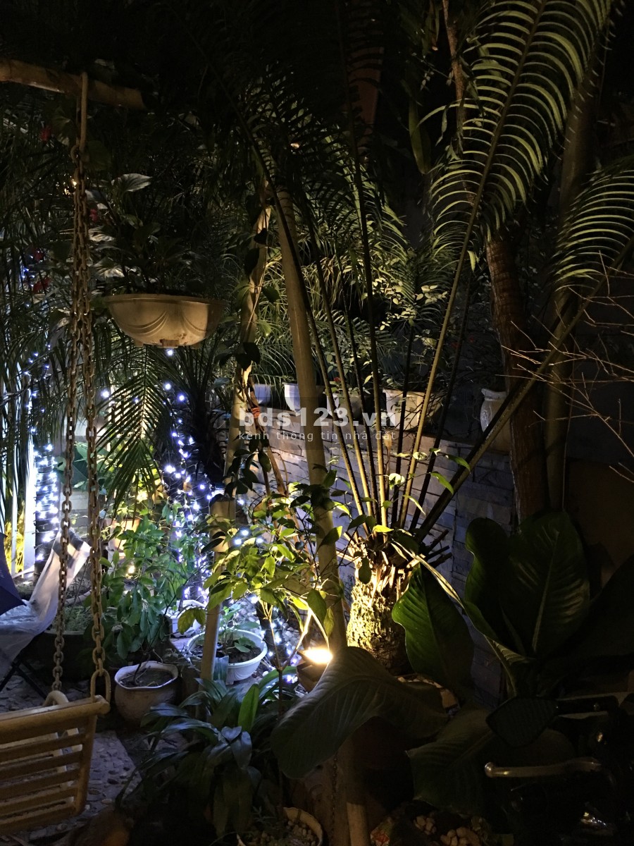 Căn hộ cho thuê Tòa nhà chung cư mini Hoàng Long House - Long Biên (Chính chủ)