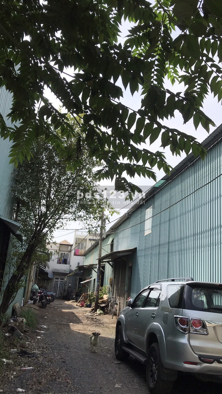Bán Kho Xưởng Phường 16, Quận 8, 140m2, 190m2, 250m2, 300m2, 420m2, 2300m2.