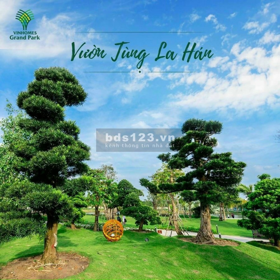 Vốn ban đầu 15% sở hữu tầm nhìn Vingroup cho 10 năm sau chỉ 247tr