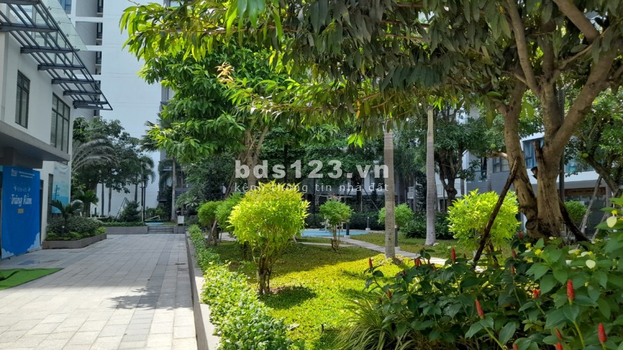 Giỏ hàng căn hộ cho thuê tại chung cư New City Thủ Thiêm mới nhất và chính xác nhật ạ