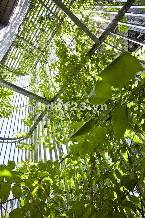 BIỆT THỰ XANH – THANG MÁY – TRẦN QUỐC TUẤN P1 GÒ VẤP -…