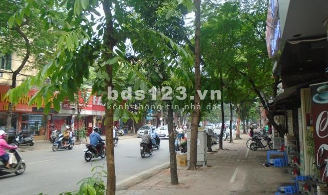 Bán nhà mặt phố Thái Thịnh, Hiếm, 500m2, KD vô địch, hiệu suất cho thuê cao, 125 tỷ. lh: 0969143618