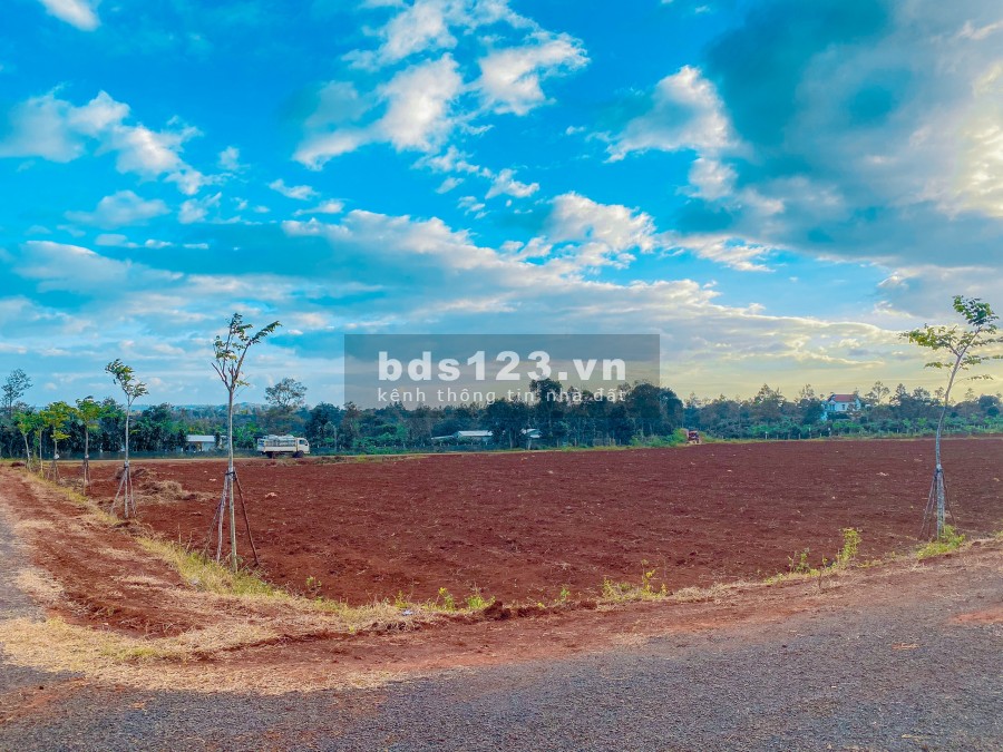 Đất nền giá tốt đầu tư khu vực Gia Lai Tây Nguyên - Chỉ 1,1 triệu/m2