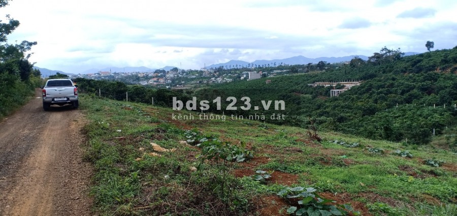 Bán 2000m2 đất vườn nghỉ dưỡng hồ Nam Phương phường Lộc Phát Tp. Bảo Lộc