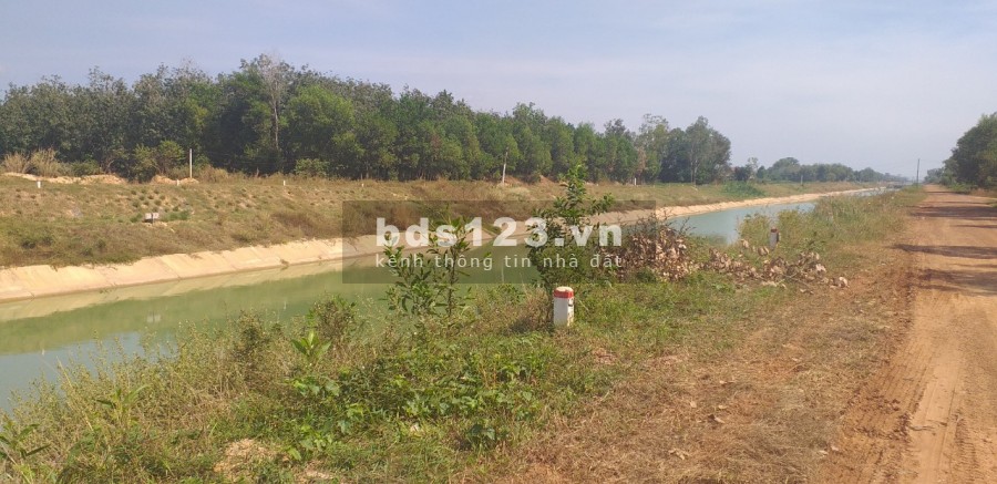 Bán đất view sông thổ cư giá chỉ 295tr/nền , sổ hồng riêng
