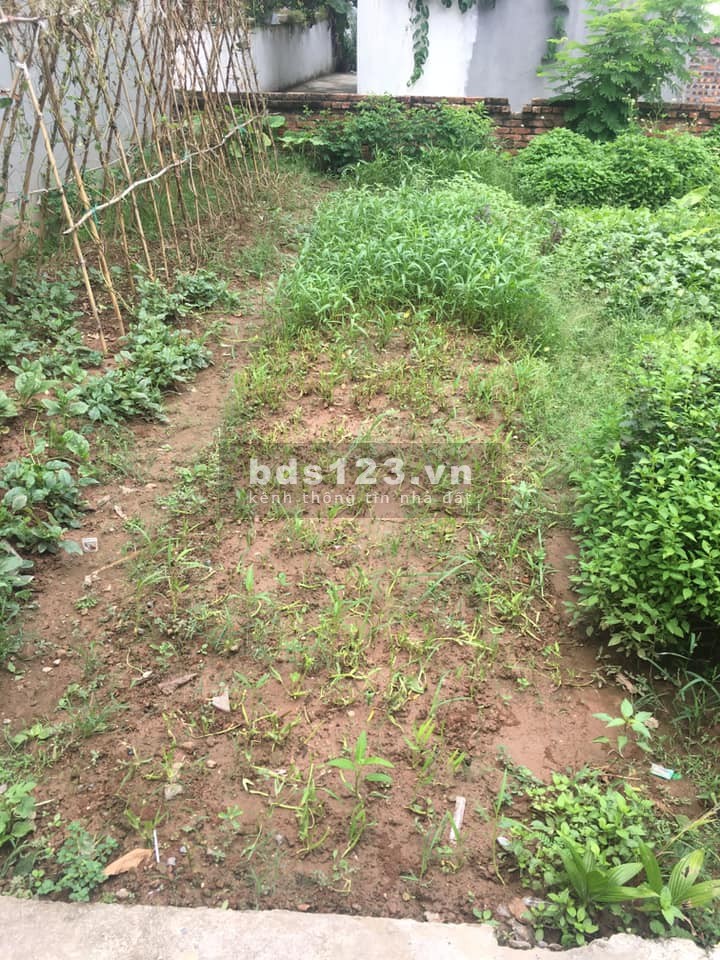 Chủ nhà cần tiền nên cần bán nhanh mảnh đất cực đẹp tại Đông Dư, Gia Lâm đường oto