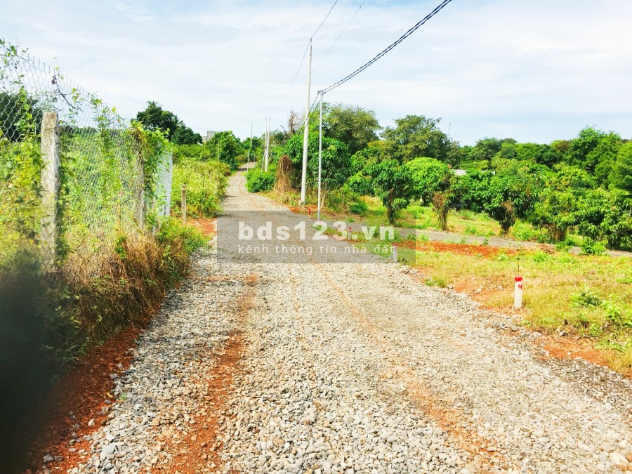 Bán đất ở xây nhà xã La Ngà, Sổ hồng, Thổ cư, Giá 300 triệu