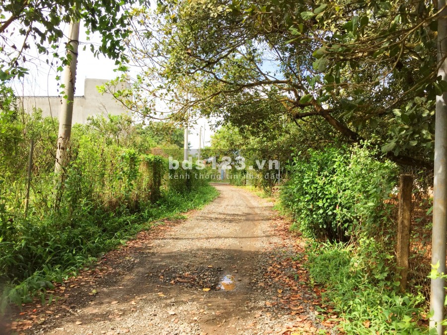 Bán đất ở xây nhà xã La Ngà, Sổ hồng, Thổ cư, Giá 300 triệu